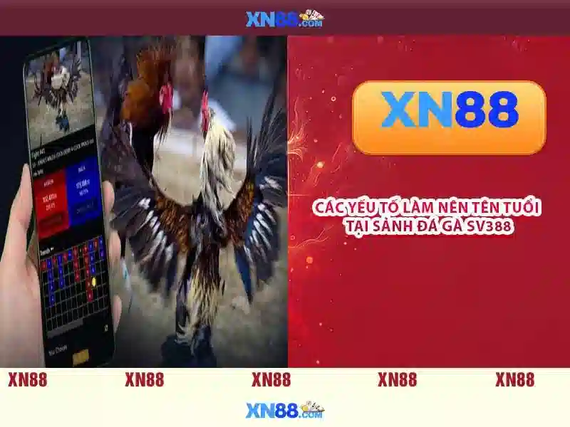 Chuan bi thong tin truoc khi dang ky tai khoan XN88