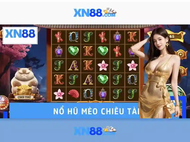 code xn88 – Định hình tương lai số với trải nghiệm