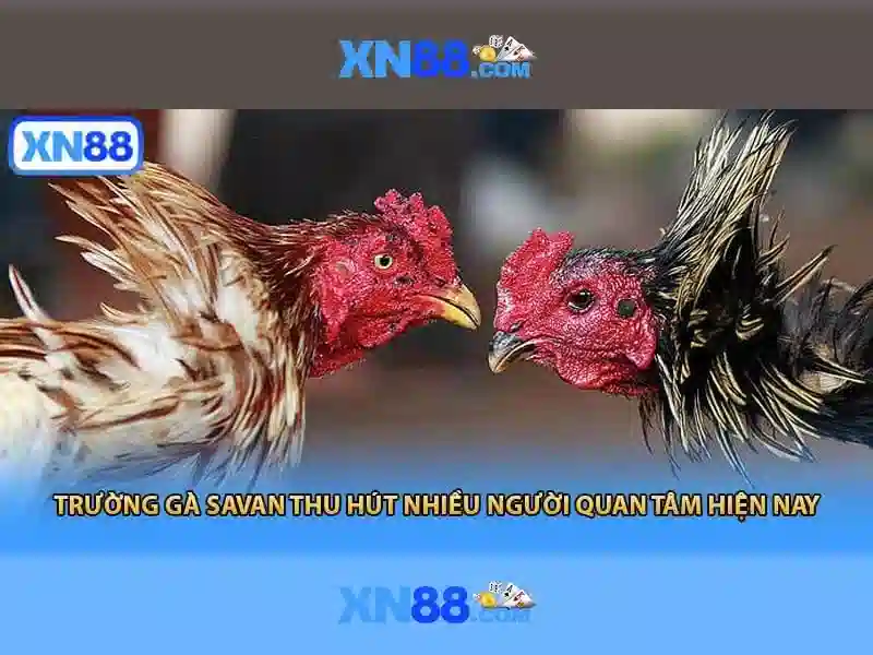 xn88-xn88: Tổng quan và giá trị cốt lõi cho thương hiệu
