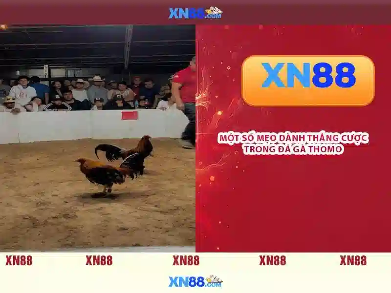 Các tính năng nổi bật của ứng dụng XN88 bao gồm bảo mật và tốc độ cao