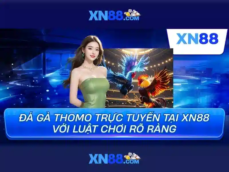 xn88: Tổng quan, chức năng và an toàn trên nền tảng trực tuyến