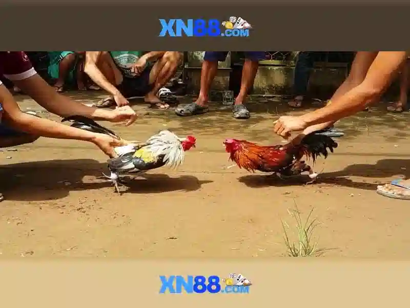 Đăng nhập xn88 – Trải nghiệm uy tín và đánh giá toàn diện