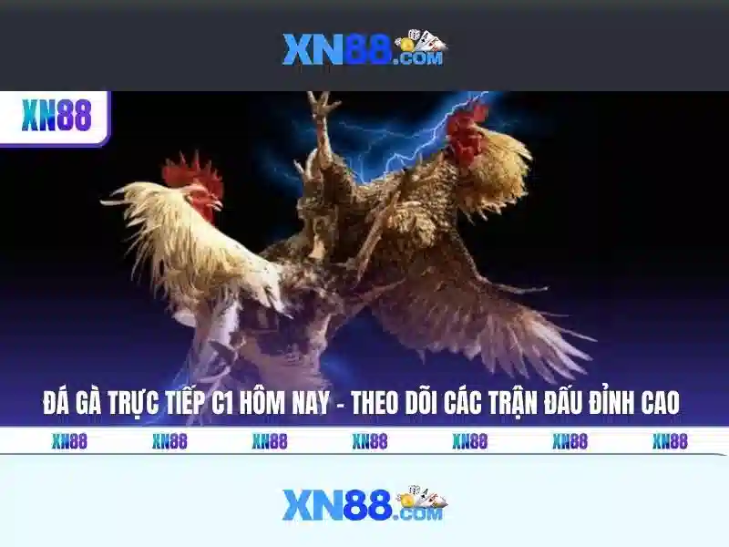 xn88: Giới thiệu nền tảng trực tuyến