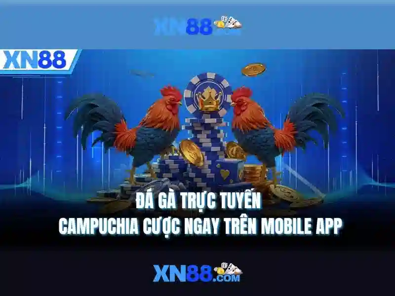 Xn88 - Tổng quan về nền tảng và các dịch vụ