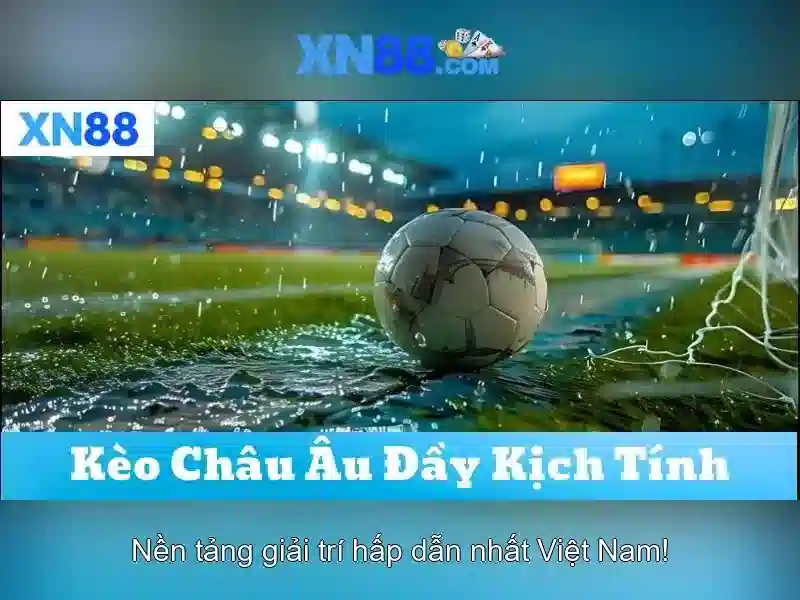 Xn88: Khám phá một thuật ngữ và cộng đồng