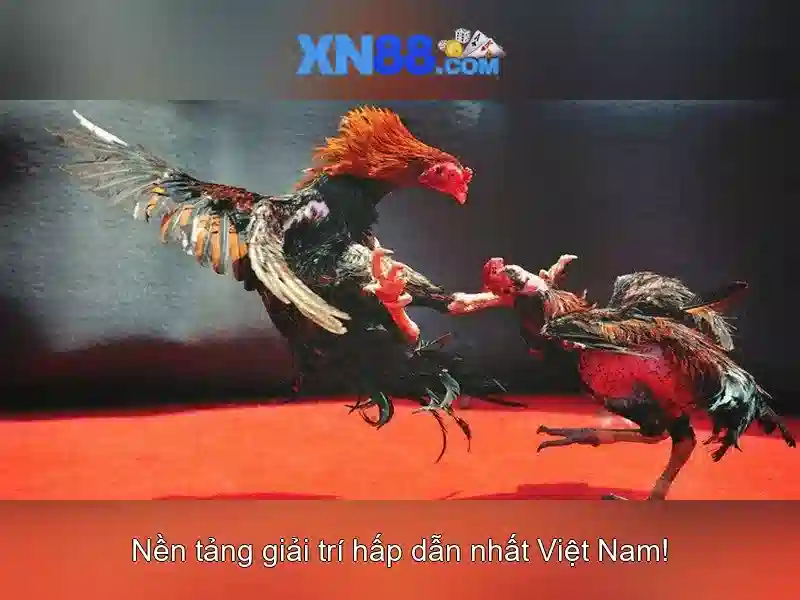 Xn88 – Nền tảng trò chơi trực tuyến an toàn và giải trí