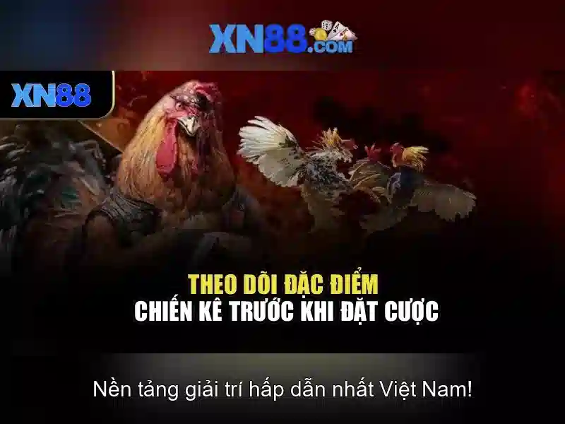xn88 - Tong quan ve nen tang ca cuoc truc tuyen