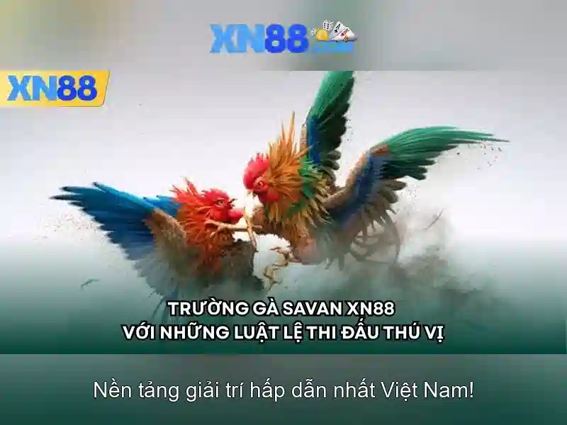 xn88: Giới thiệu tổng quan về nền tảng giải trí trực tuyến