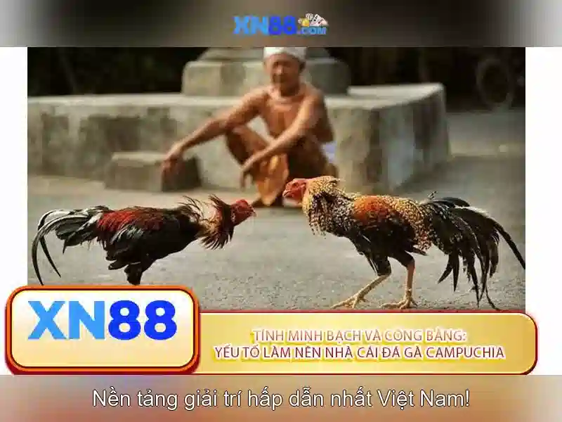xn88 best – Trải nghiệm đỉnh cao và đánh giá uy tín