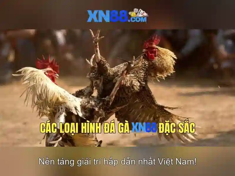 xn88 - Tổng quan về một nền tảng trò chơi trực tuyến
