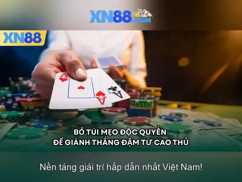xn88: Tổng quan về nền tảng và cách hoạt động